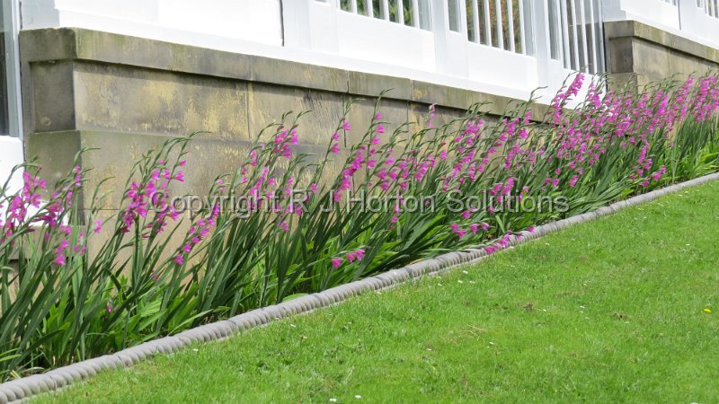 Chatsworth - Conservatory Border